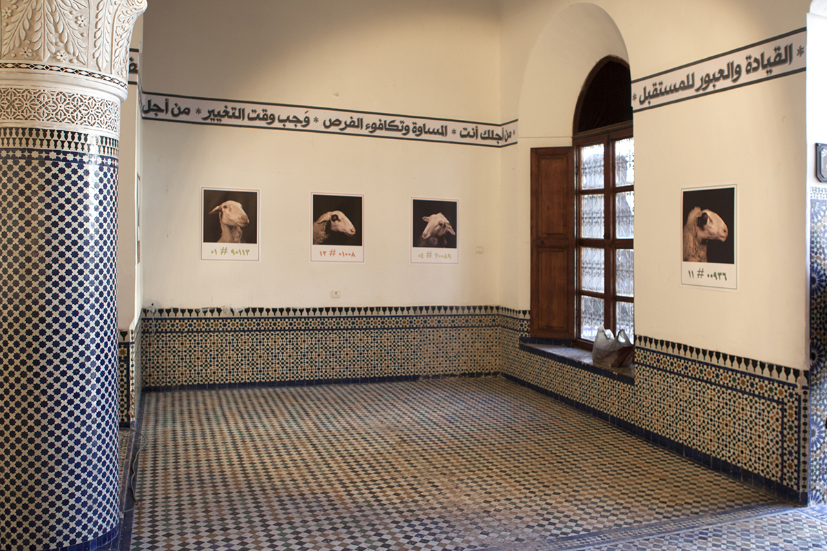 Complexe culturel Sidi Mohammed Ben Youssef - Fès. Rencontres Internationales Photographiques de Fès du 14 nov au 15 dec 2015