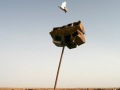 A pigeon nest at Hamraa' al-Seheim near Safawy - May 2007