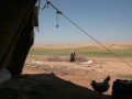 Hamed Hamid el-Hadid's tent and breeding, near Hoshah village, Ramsah district - April 2008